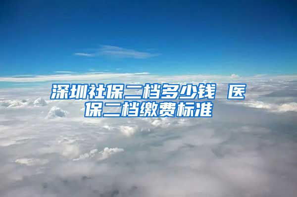 深圳社保二档多少钱 医保二档缴费标准