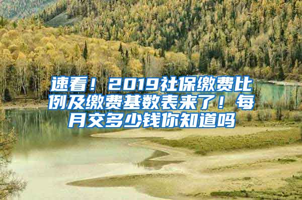 速看！2019社保缴费比例及缴费基数表来了！每月交多少钱你知道吗