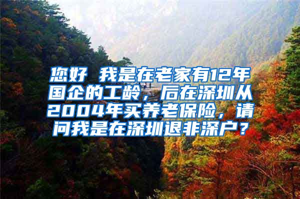 您好 我是在老家有12年国企的工龄，后在深圳从2004年买养老保险，请问我是在深圳退非深户？
