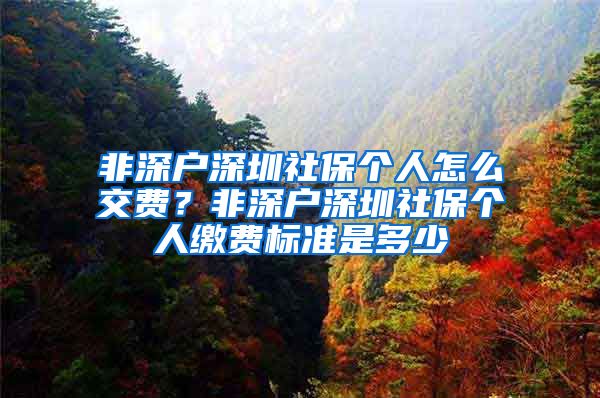 非深户深圳社保个人怎么交费？非深户深圳社保个人缴费标准是多少