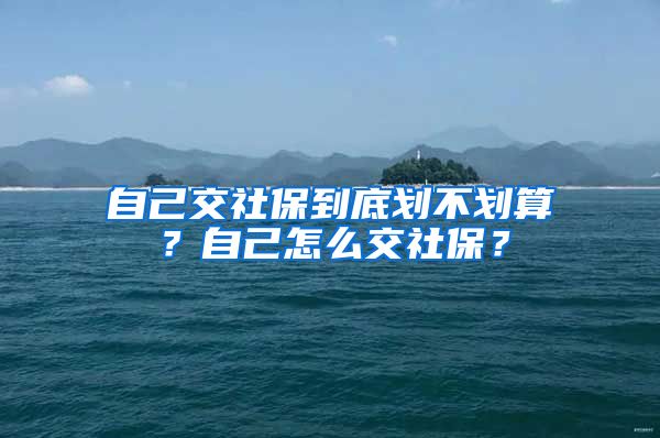 自己交社保到底划不划算？自己怎么交社保？