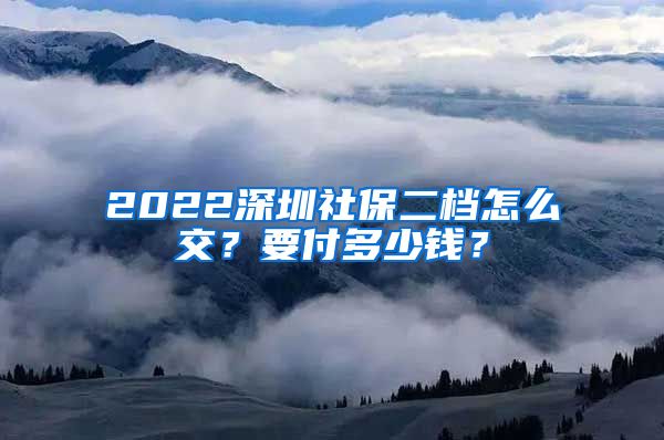 2022深圳社保二档怎么交？要付多少钱？