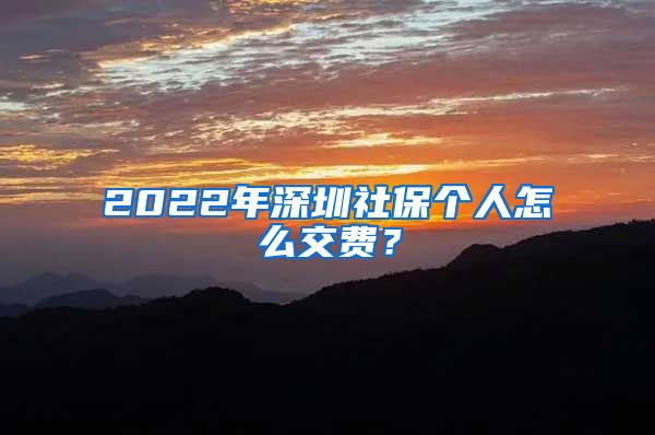 2022年深圳社保个人怎么交费？