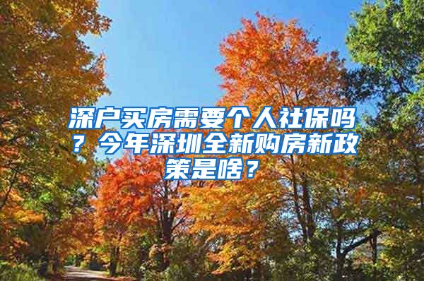 深户买房需要个人社保吗？今年深圳全新购房新政策是啥？