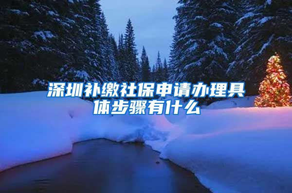 深圳补缴社保申请办理具体步骤有什么