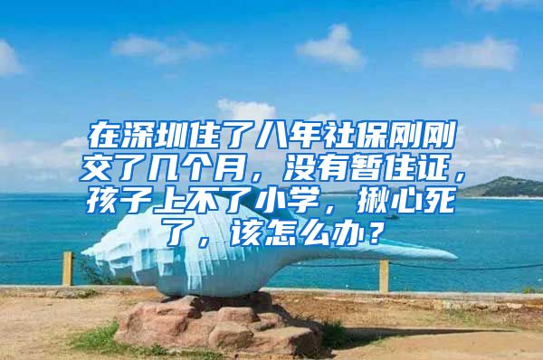 在深圳住了八年社保刚刚交了几个月，没有暂住证，孩子上不了小学，揪心死了，该怎么办？