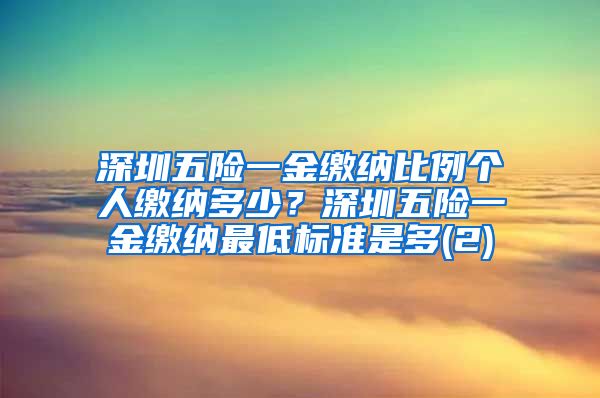 深圳五险一金缴纳比例个人缴纳多少？深圳五险一金缴纳最低标准是多(2)