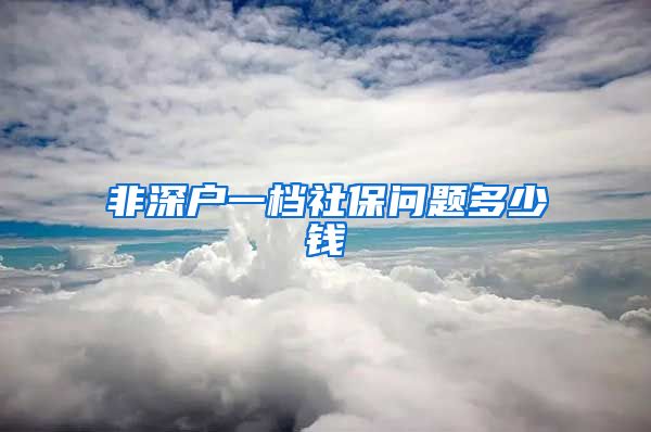 非深户一档社保问题多少钱