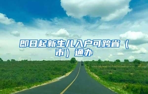 即日起新生儿入户可跨省（市）通办