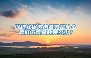 深圳社保缴纳基数是什么最低缴费基数是多少？