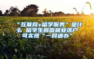 “互联网+留学服务”是什么 留学生回国就业落户可实现“一网通办”