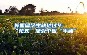 外国留学生就地过年：“花式”感受中国“年味”