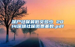 深户社保最低交多少 2014深圳社保缴费基数.pdf