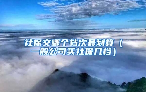 社保交哪个档次最划算（一般公司买社保几档）