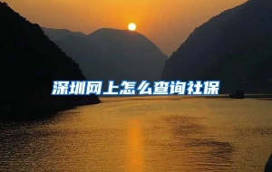 深圳网上怎么查询社保