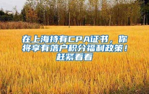 在上海持有CPA证书，你将享有落户积分福利政策！赶紧看看