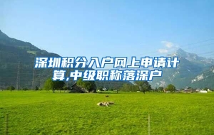 深圳积分入户网上申请计算,中级职称落深户