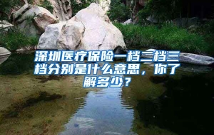 深圳医疗保险一档二档三档分别是什么意思，你了解多少？