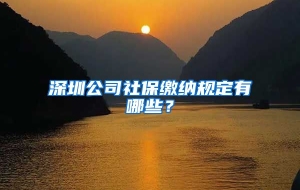 深圳公司社保缴纳规定有哪些？