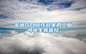 深圳符合二孩政策的二胎可享生育保险