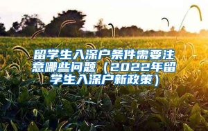 留学生入深户条件需要注意哪些问题（2022年留学生入深户新政策）