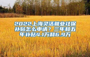 2022上海灵活就业社保补贴怎么申请？三年和五年补贴4.1万和6.9万