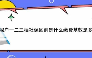 非深户一二三档社保区别是什么缴费基数是多少