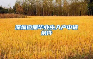 深圳应届毕业生入户申请条件