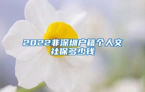 2022非深圳户籍个人交社保多少钱