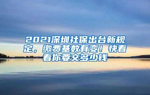 2021深圳社保出台新规定，缴费基数有变！快看看你要交多少钱