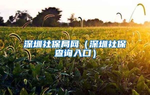 深圳社保局网（深圳社保查询入口）