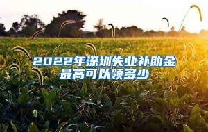 2022年深圳失业补助金最高可以领多少