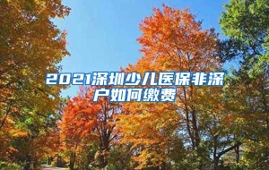 2021深圳少儿医保非深户如何缴费