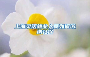 上海灵活就业人员如何缴纳社保