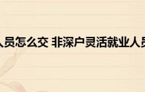 深圳医保灵活人员怎么交 非深户灵活就业人员参保条件及缴费标准2022