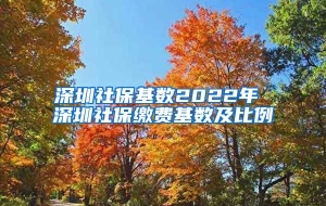 深圳社保基数2022年 深圳社保缴费基数及比例