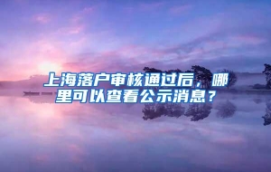 上海落户审核通过后，哪里可以查看公示消息？