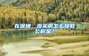 在深圳，没买房怎么提取公积金？