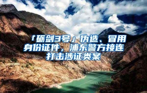 「砺剑3号」伪造、冒用身份证件，浦东警方接连打击涉证类案