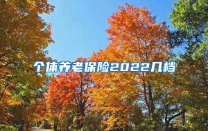 个体养老保险2022几档