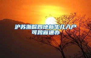 沪苏浙皖四地新生儿入户可跨省通办