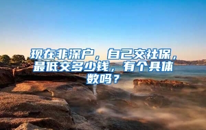 现在非深户，自己交社保，最低交多少钱，有个具体数吗？