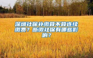 深圳社保补缴算不算连续缴费？断缴社保有哪些影响？