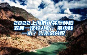 2022上海市级实际种粮农民一次性补贴：多少钱一亩？附资金分配