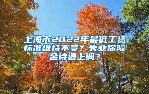 上海市2022年最低工资标准维持不变？失业保险金待遇上调？