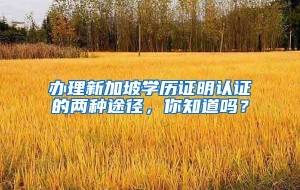 办理新加坡学历证明认证的两种途径，你知道吗？