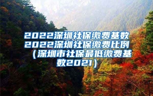 2022深圳社保缴费基数2022深圳社保缴费比例（深圳市社保最低缴费基数2021）