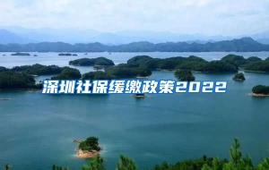 深圳社保缓缴政策2022