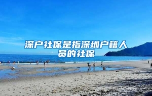 深户社保是指深圳户籍人员的社保