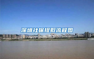 深圳社保提取流程图